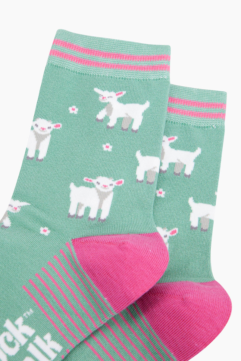 Spring Lamb Print Bamboo Socks Green/Pink
