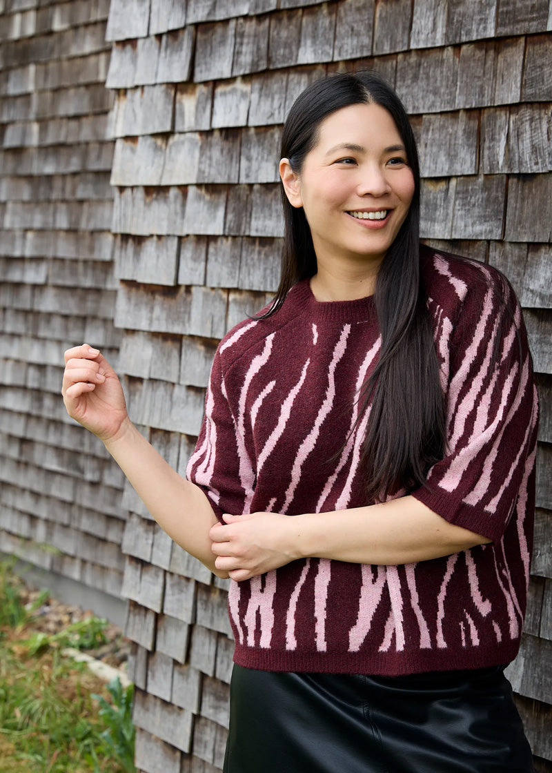 DREAMS Zebra Jacquard Sweater Grey